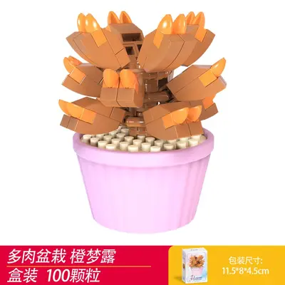 Succulent Potted Plant Model Micro Particle Building Blocks for Kids - 10