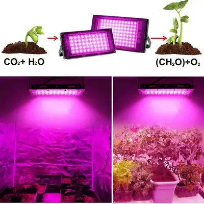 Sınır ötesi bitki büyüme lambası fide dikim dolgu ışığı growlight bitki kalsiyum takviyesi tam spektrum LED fiş panosu