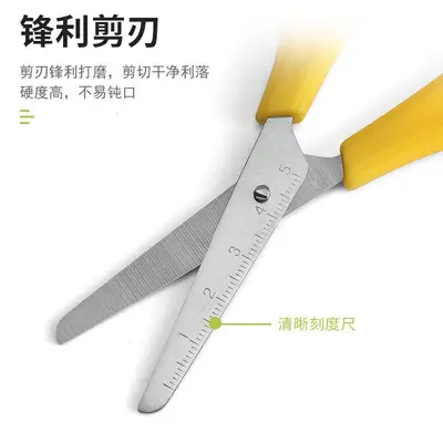 Student Scissors with Scale Ruler, Children's Safety