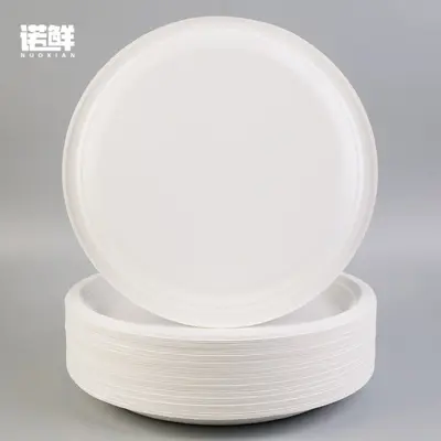 Disposable Eco-Friendly Paper Plates, Square and Oval, Picnic and BBQ - 4