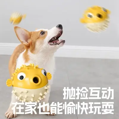 Quietschendes Hundespielzeug Springfisch mit waschbarem Zahnpflegeball - 3