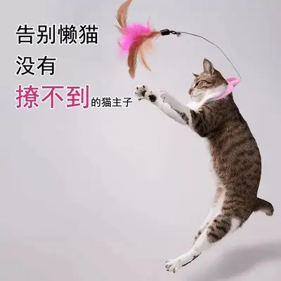 Cat Teaser Wand with Feathers and Bell, Neck-Hung Interactive Cat Toy