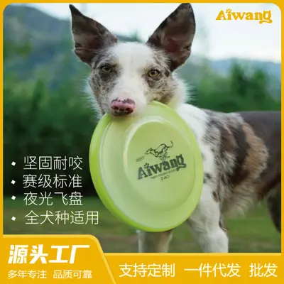 Aiwang Glow-in-the-Dark Competition Frisbee for Dog Training