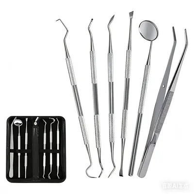 Stainless steel dental cleaning and tartar removal tool kit