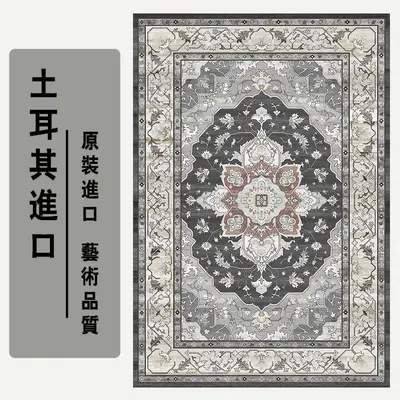 Turkish Style Non-Slip Bedroom Rug, Stain-Resistant, Thick Ethnic Pattern