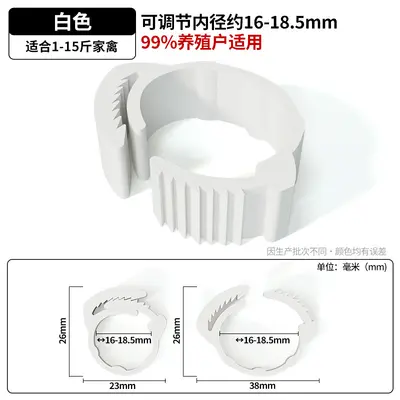 Chicken leg rings, snap-type poultry identification rings, custom text - 10