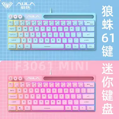 AULA Wolf Spider F3061 Mini Mechanical Feel Keypad 61 Keys Wired RGB Desktop Laptop Tablet Portable
