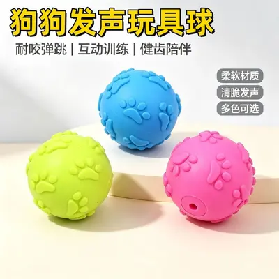 Durable TPR Squeaky Bouncy Ball for Small and Medium Dogs - 1