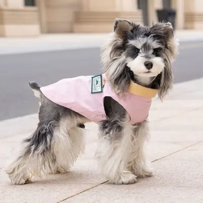 Hunde- und Katzenjacke, waschbar, Frühling und Sommer