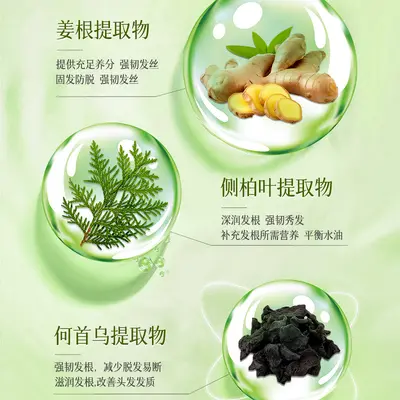 Ginger Anti-Hair Loss Shampoo with Platycladus Leaf and Polygonum - 4