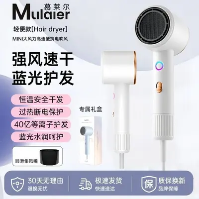 High-Power Negative Ion Hair Dryer with Hot and Cold Settings, Quiet