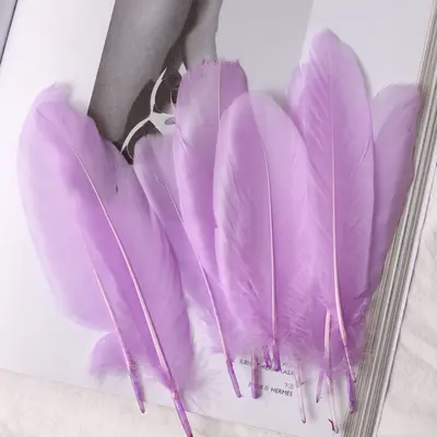 White Goose Feathers, Kindergarten Craft and DIY Jewelry Material - 11