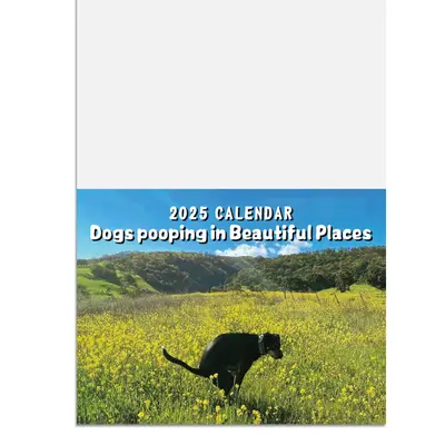 2027 Dogs Pooping duvar takvimi - 7