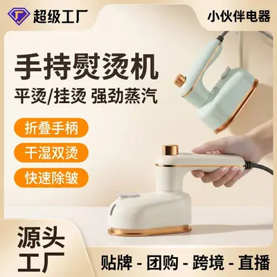 Mini Handheld Electric Iron, Portable, Dry and Wet Use, for Travel and Dorm - 2