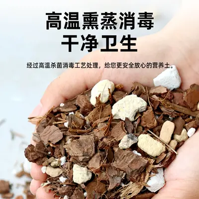 Orchid Soil for Phalaenopsis and Clivia Pine Bark Nutrient Growing Medium - 2