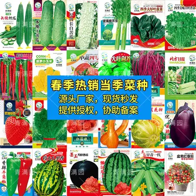 Spring Vegetable and Fruit Seeds: Lettuce, Beans, Corn, Watermelon, Tomato, Pepper - 2