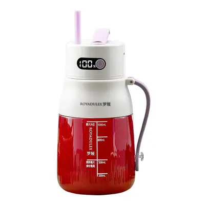 Fruit juicer, portable, large capacity - 6