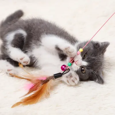 Two-Color Feather Cat Teaser Wand, Steel Wire Interactive Cat Toy - 3