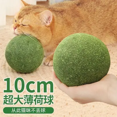 Dev kedi nanesi topu, 10 cm, diş temizleyici - 6
