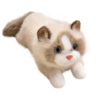 Simüle Ragdoll Kedi Peluş Oyuncak, 2026 - 6