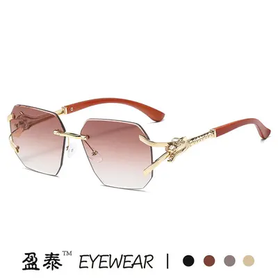 Frameless Square Sunglasses with Leopard Print Temples - 5