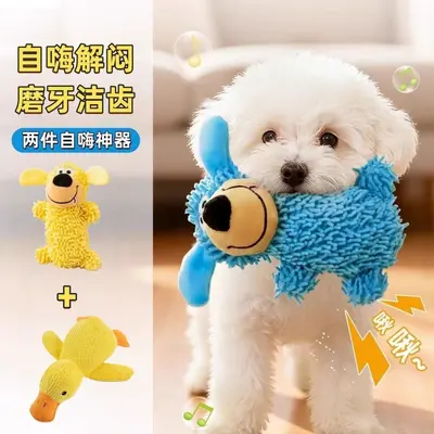 Squeaky Dog Chew Toy, Durable, for Small and Medium Dogs - 10
