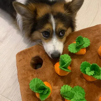 Köpek Oyuncağı Dayanıklı Havuç Çekme Zenginleştirme