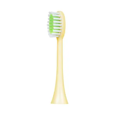 Replacement Brush Head for Philips HX2 Series, Compatible with HX2421/2471/2431/2451/247M - 10