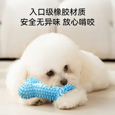 Chew-Resistant Squeaky Dog Toy Gift Pack for Small Breeds - 3