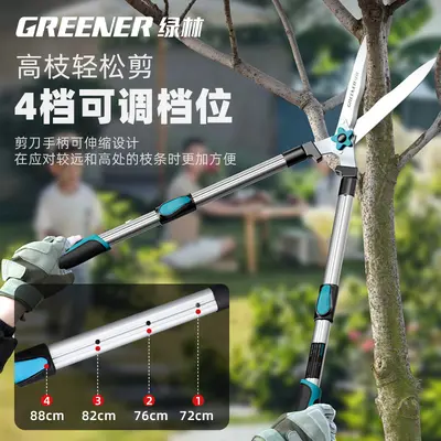 Green forest garden shears, lawn hedge shears, greening garden shears, seedling high branch shears, special shears for branch pruning