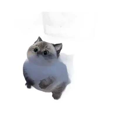 Hand-Painted Giant Chubby Cat Squishy Stress Relief Toy, DIY