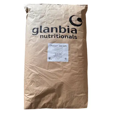 Isolated Whey Protein WPI90 Food-Grade Protein Powder