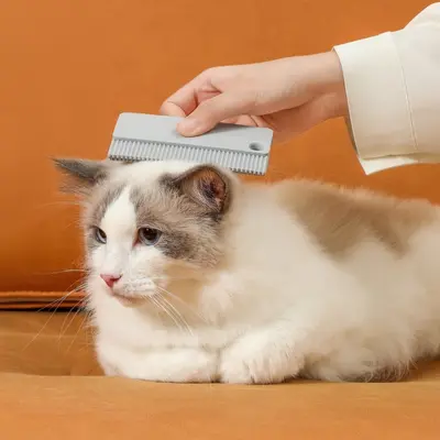 Haustier-Doppelseitiger weicher Gummi-Haarentferner, Sofa-Jacken-Enthaarungsbürste, Baumwoll-Fusselrolle, Tierhaar-Reiniger für Katzen und Hunden, Teppich-Haarentferner