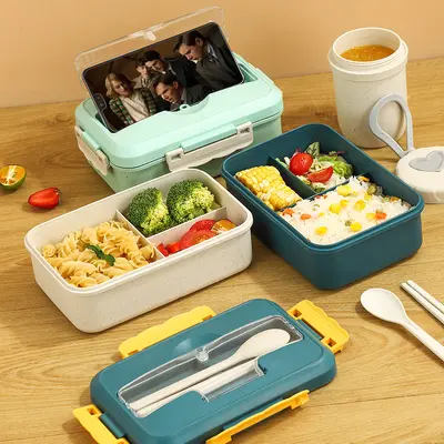 Wheat Straw Insulated Lunch Box, Microwave Safe, with Compartments