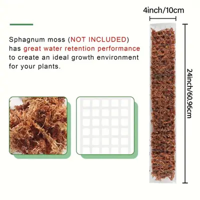 Transparent Extendable Moss Pole for Plant Climbing Support