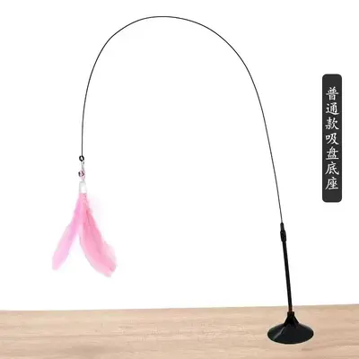 CFA Cat Teaser Wand, Long Pole with Feathers, Chew-Resistant, Replaceable Head - 13