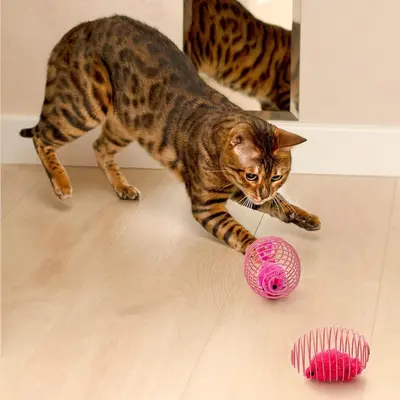 Peluş Fare Kedi Oyuncağı, Kafesli, Yay Detaylı