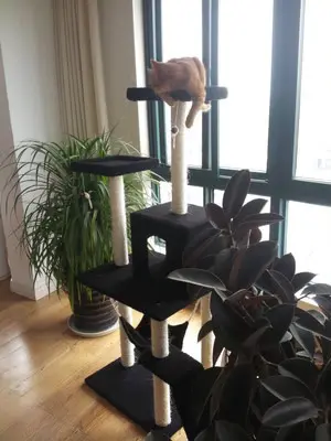 Fabrika doğrudan satış toptan ısmarlama evcil hayvan malzemeleri kedi oyuncakları kedi tırmanma çerçevesi kedi tırmalama tahtası kedi ağacı 23 gri - 7