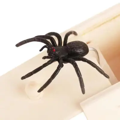 Scary Wooden Box with Bug and Spider Horror Prank - 4