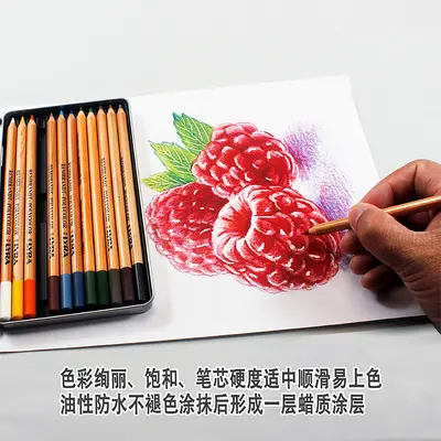 Yiya Oil-Based Colored Pencils, Waterproof and Fade-Resistant, Professional Drawing Set