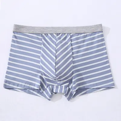 Pure Cotton Men's Boxer Briefs, 3D Seamless, Striped Print, Plus Size - 9
