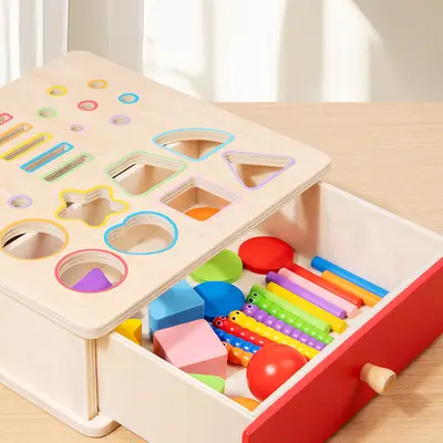 Geometrik şekilli çocuk eğitici kutu, böcek yakalama ve sınıflandırma - 5