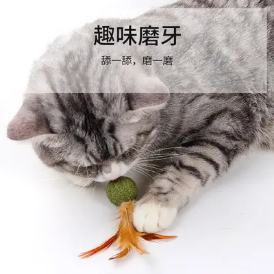 Catnip Feather Ball Cat Toy with Chew Snack and Cat Grass - 3