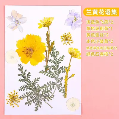 Dried and Pressed Flower DIY Material Pack for Resin Crafts - 10