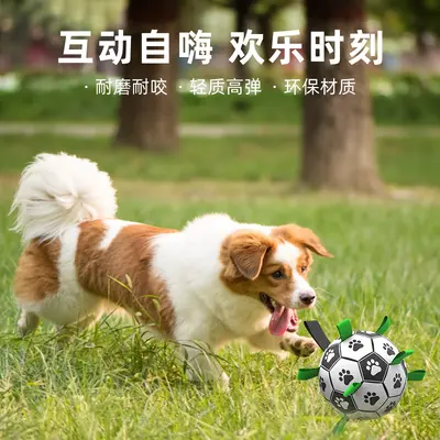 Köpek Oyuncak Topu Dışarı İçin Futbol Topu Evcil Hayvan Oyuncağı