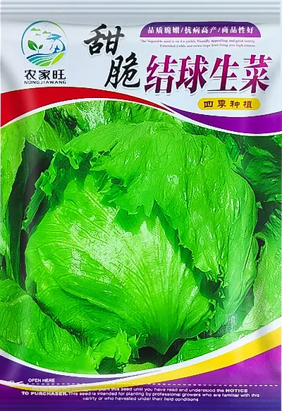 Spring Vegetable and Fruit Seeds: Lettuce, Beans, Corn, Watermelon, Tomato, Pepper - 11
