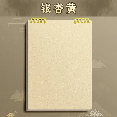 B5 Ring Binder Loose-Leaf Notebook, Removable Spiral Notepad - 11