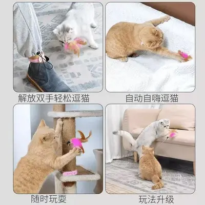 Cat Teaser Wand with Feathers and Bell, Neck-Hung Interactive Cat Toy - 4
