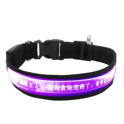LED-аксессуары для домашних животных, светящийся ошейник для собак с USB-зарядкой, лазерная гравировка имени, поводок-ошейник против потери для выгула собак, домашние питомцы