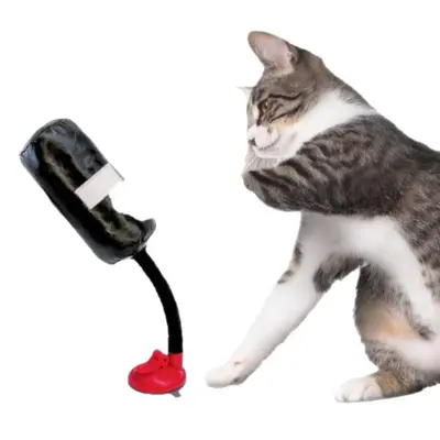 跨境亚马逊独立站新品玩具猫咪拳击游戏多功能拳击玩具